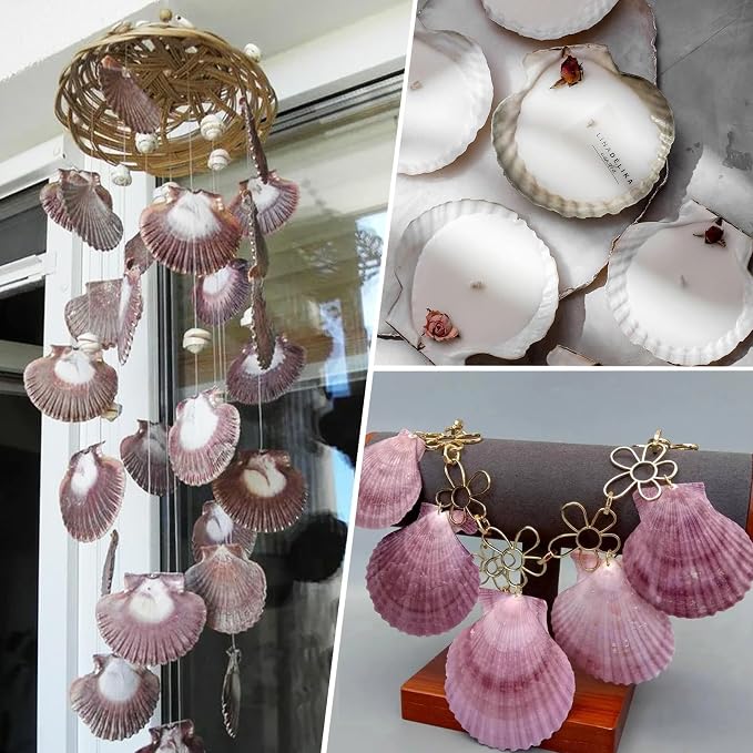 30PCS Natural Scallop Shells Purple Sea Shells, Real Seashells from Beach - Image 6