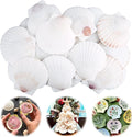 30PCS Scallop Shells for Crafts 2''-3'' Natural White Large Shells Decoration by PremiumYardSignsJoyfulPartyEssentialsForEverysingleHome