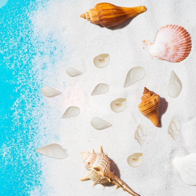 Approx 700pcs Small White Clam Cay Seashells Natural Tiny Sea Shell Mini Spiral - Image 5