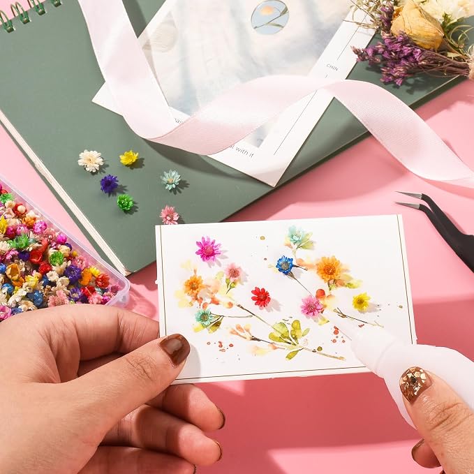 1150 PCS Small Dried Flowers for Crafts - Image 4
