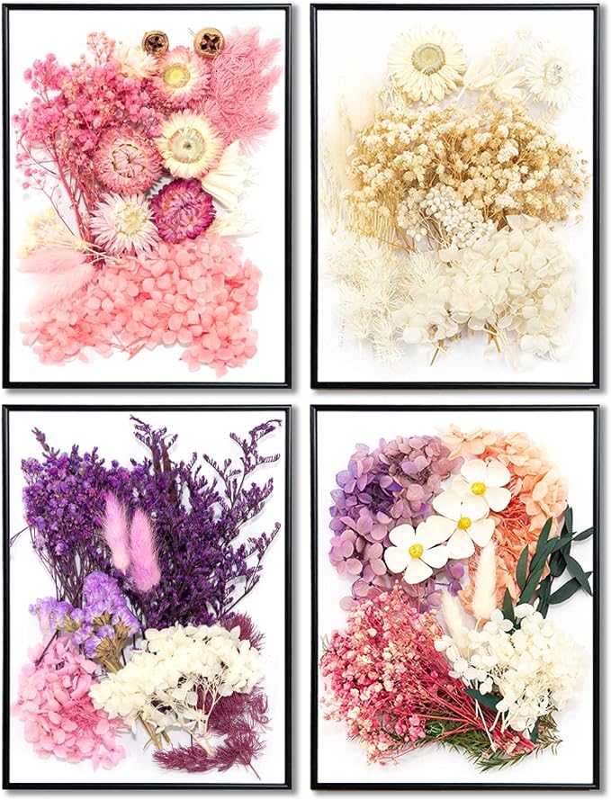 Vignee Real Dried Pressed Leaf Flowers-Multiple Colorful Pressed Flowers Daisies - Image 5