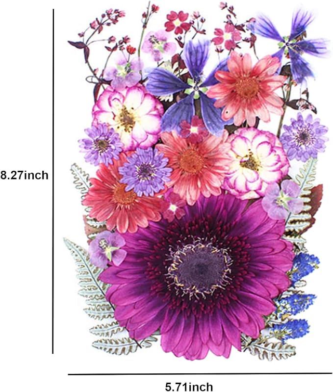 35Pcs Dried Pressed Flowers for Crafts Resin DIY Art Natural Dry Floral Large - Image 6