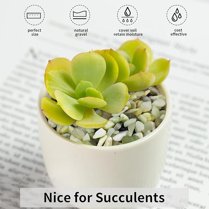 FANTIAN 2 lbs Jade Rocks for Plants Indoor, 3/8 inch Small Pebbles for Indoor - Image 6
