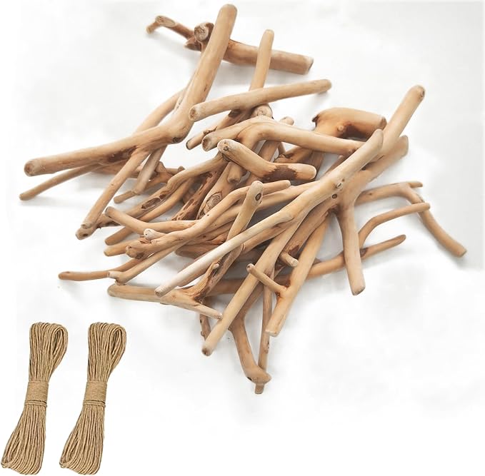 20pcs Y-Shaped Irregular Driftwood by Unknown