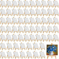 Mimorou 64 Pack Mini Canvas by Mimorou