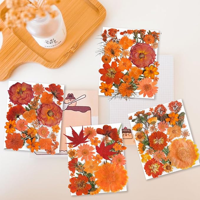 150PCS Orange Fall Dried Pressed Flowers - Image 2