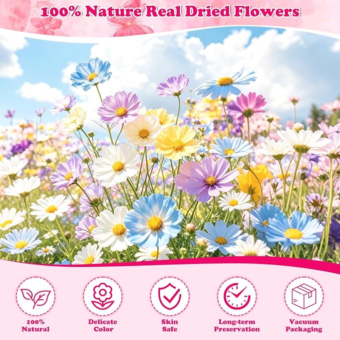 100 Pcs Dried Pressed Flowers Leaves - Image 4