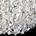 LAIDANLA Moonstone 400pcs Natural Chip Stone Beads 5-8mm Healing Crystal by LAIDANLA