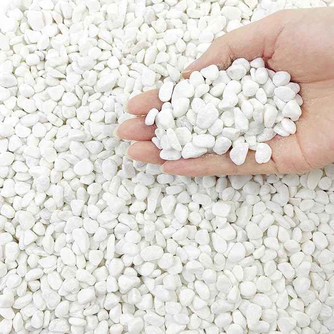 FANTIAN 2 lbs White Rocks for Plants, 3/8 Inch Gravel Pebbles for Plants. by FANTIAN-GardeningMakesLifeBetter