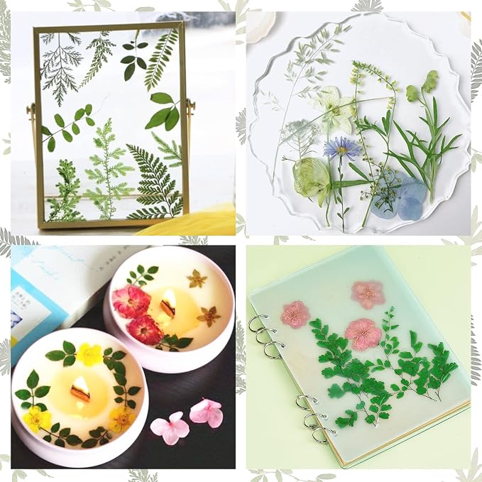 84 Pcs Dried Leaves Pressed Flowers - Image 6