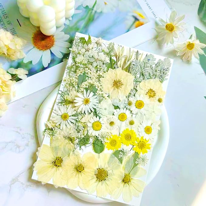 84 Pcs White Dried Pressed Flowers - Image 2