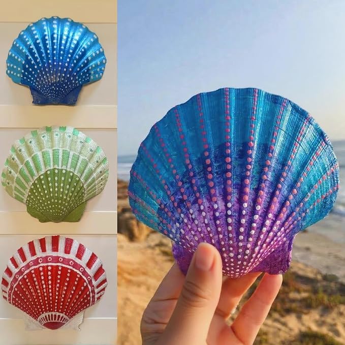 10PCS Large Natural Scallop Shells, Home Decorations, Beach Wedding Decorations - Image 4