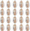 SUNNYCLUE 1 Box 20Pcs Seashell Charms Shell Charms Sea Shells Sea Shell Charms by SUNNYCLUE