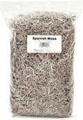 Mosser Lee Spanish Moss – Natural Decorative Moss by MosserLee