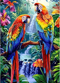5D Bird Diamond Art Painting Kits by Unknown