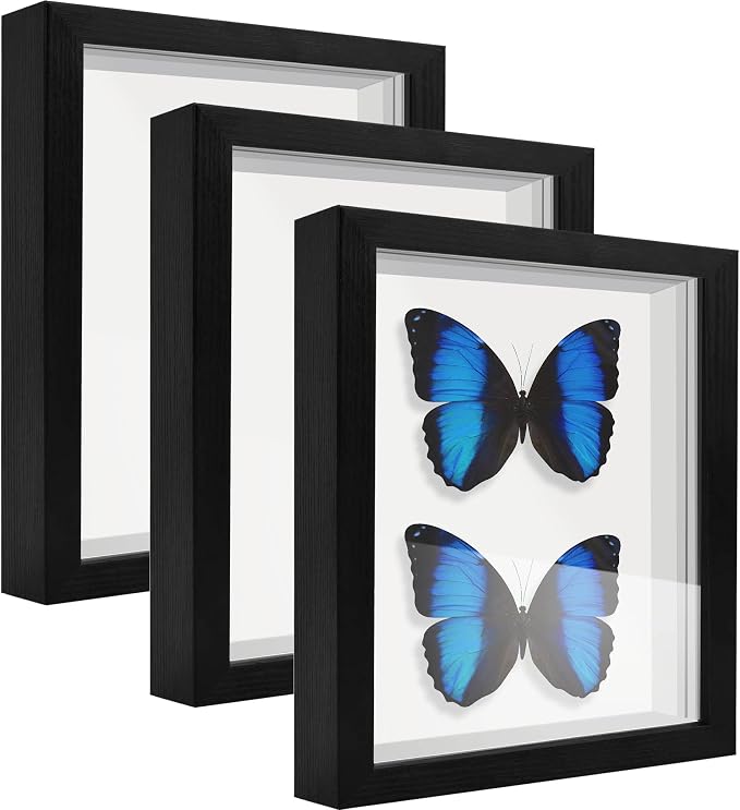 5x7 Shadow Box Frame Display Case by TOUYINGER