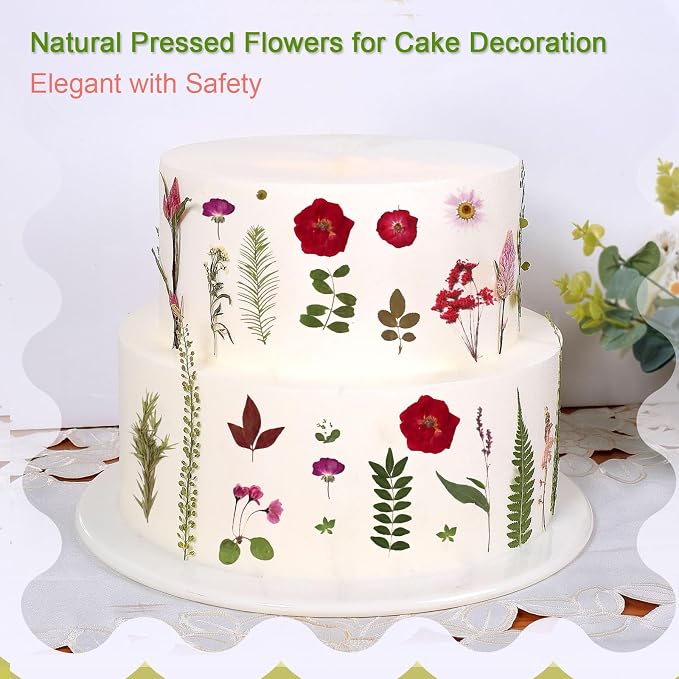 A5 Large Bulk Christmas Dried Pressed Flowers - Image 5