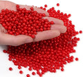 1000pcs Red 6mm Pearl Beads by chuyau
