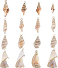 SUNNYCLUE 1 Box 16Pcs 4 Style Electroplate Spiral Seashells Craft Charms by SUNNYCLUE