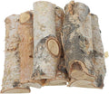 Angoily 8Pcs Birch Log, 4.5" Unfinished Natural Mini Wood Sticks Twigs Tree by Angoily