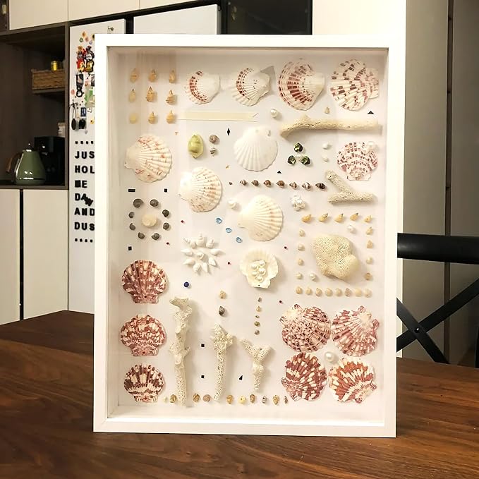 48 PCS Scallop Shells Natural Seashell, Fish Tank and Vase Filler - Image 5