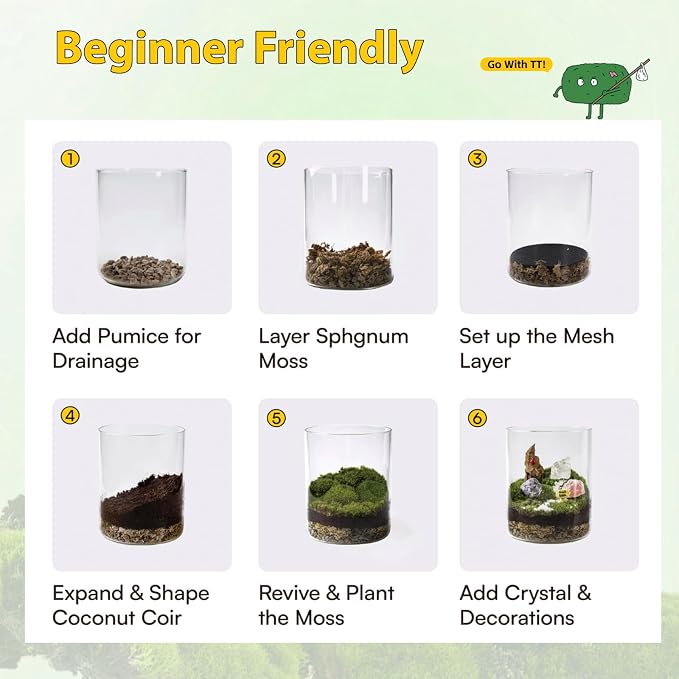 DIY Crystal Terrarium Kit - Image 6