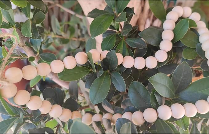 240PCS Natural Round Wooden Beads - Image 6