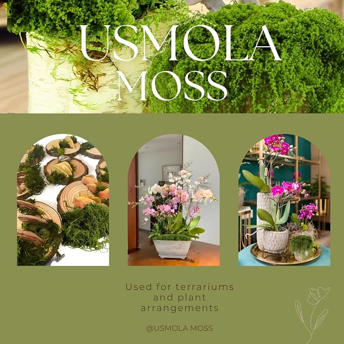 USMOLA 3.5OZ Fake Moss for Plants Indoor - Image 5