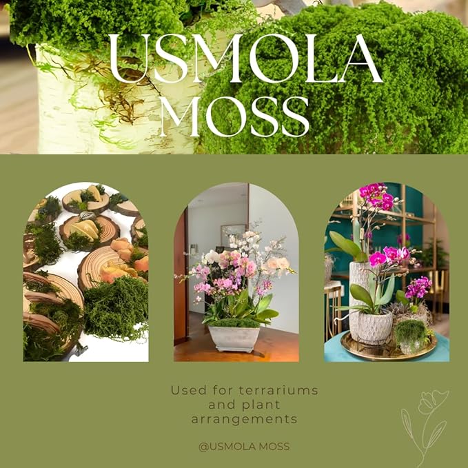 USMOLA Fake Moss for Potted Plants Indoor, 7OZ Green Moss for Crafts - Image 5