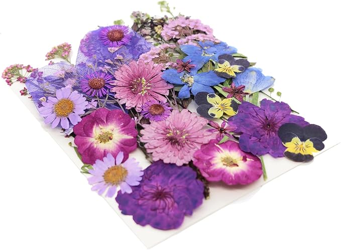 40 Pcs Purple Dried Pressed Flowers Real Natural - Image 6