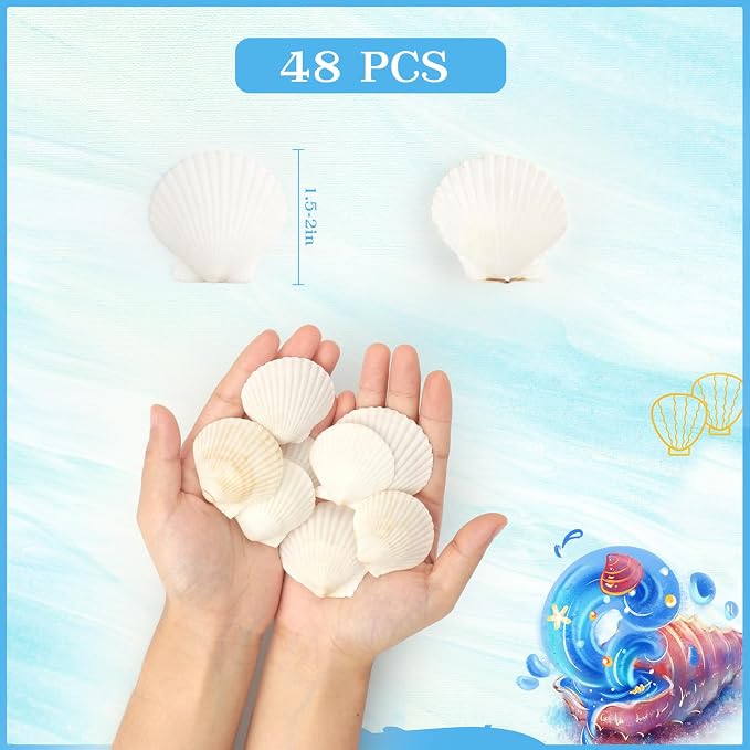 Jangostor 48 PCS Scallop Shells Natural Seashell, 1.5" to 2" White Scallop - Image 2