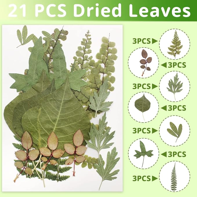 63 Pcs Real Dried Pressed Leaves Natural Assorted Dried Greenery - Image 3