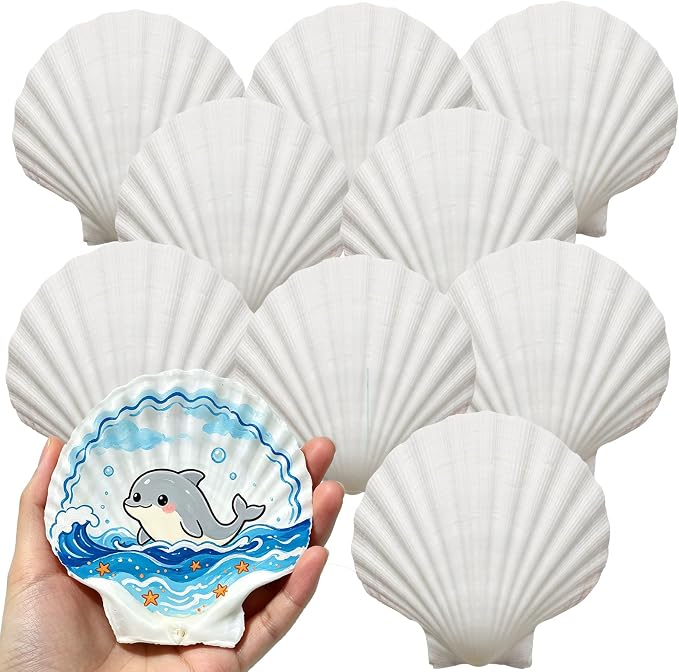 20PCS Large Natural Scallop Shells 4-5 Inch White by Unknown