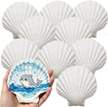 20PCS Large Natural Scallop Shells 4-5 Inch White by Unknown