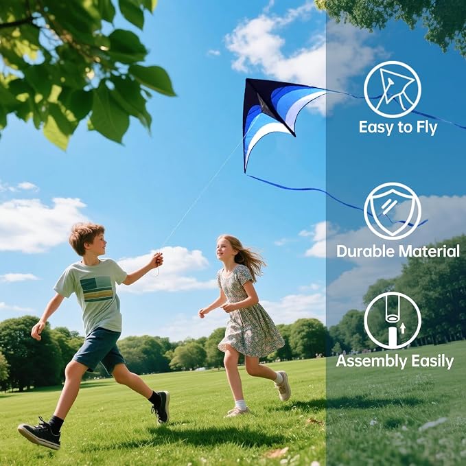 Large Single Line Beach Kite for Adults - Image 3