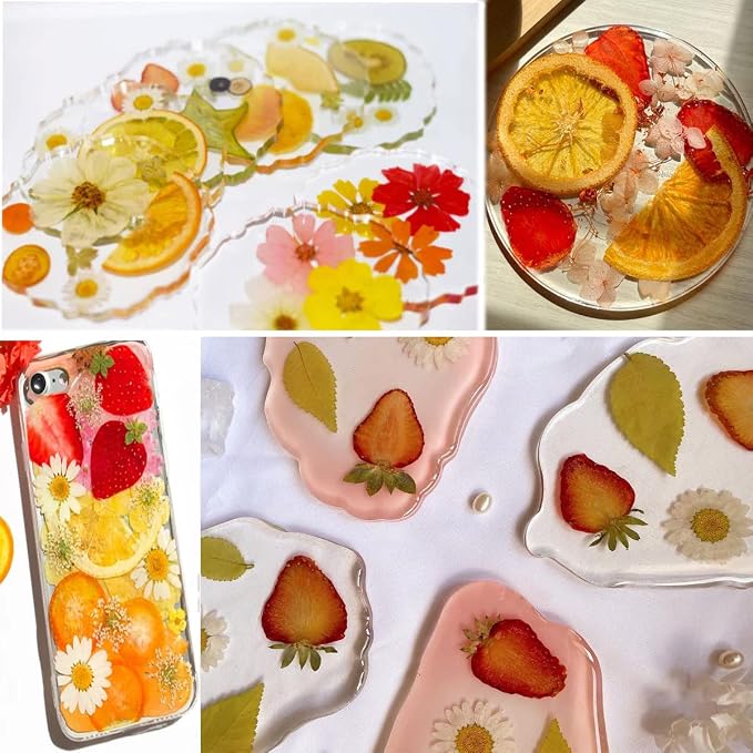70PCS+ Nature Dried Pressed Fruits Flowers - Image 5