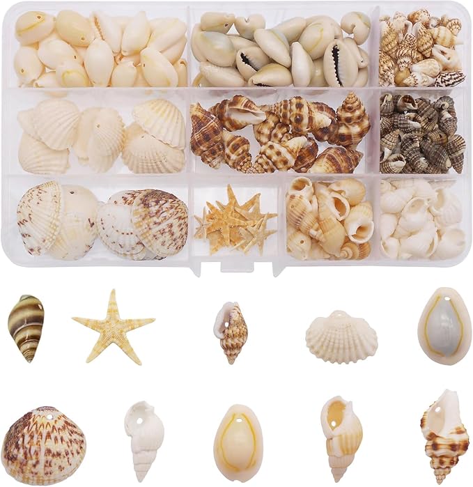 yaokan 10 Styles Natural Sea Shells & Starfish Set by yaokan