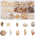 yaokan 10 Styles Natural Sea Shells & Starfish Set by yaokan