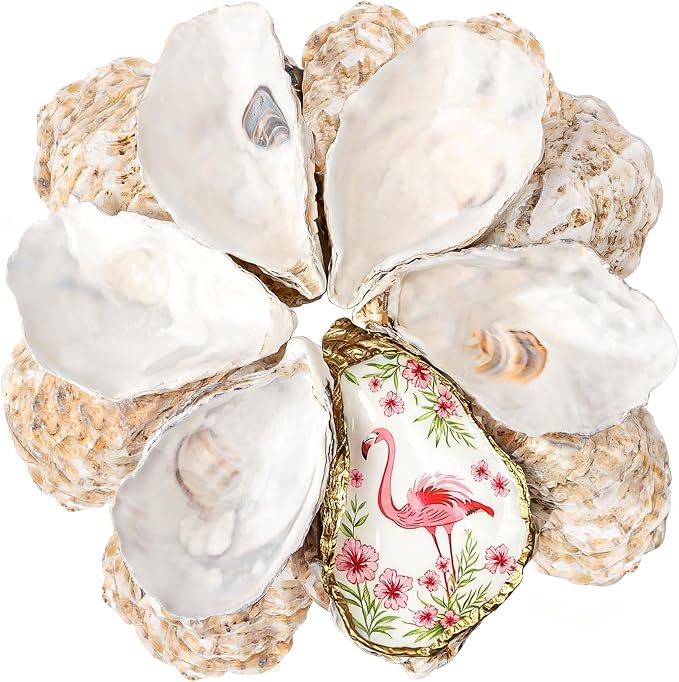 30Pcs 5-6 Inch Concave Large Oyster Shells by LAMIVORA