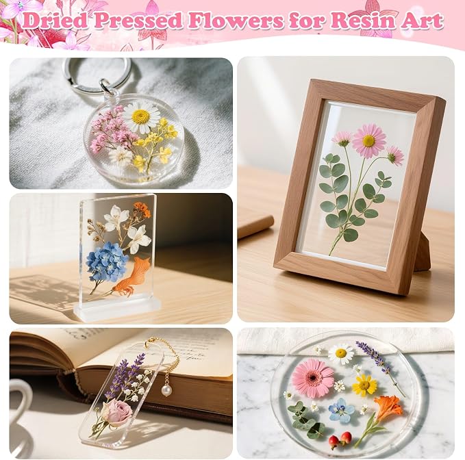630 Pcs Dried Pressed Flowers - Image 4