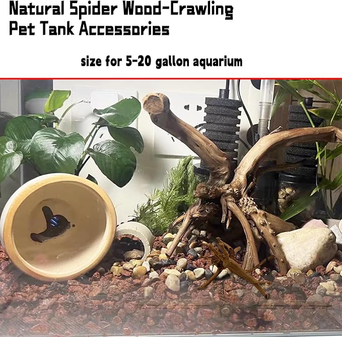 Hamiledyi 4PCS Driftwood for Aquarium 8-10in Natural Spider Wood Reptile - Image 7