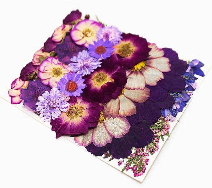 Large Purple Dried Pressed Flowers - Image 6