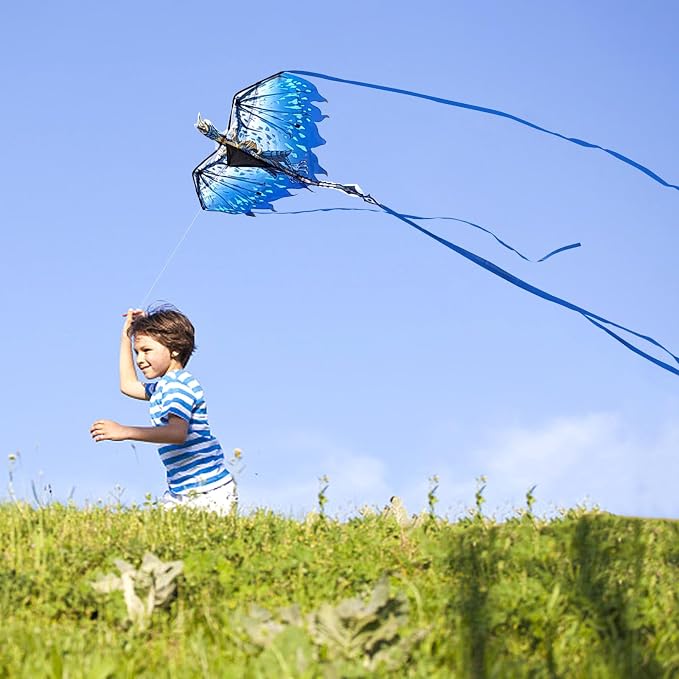 Dragon Kite for Kids & Adults - Image 5