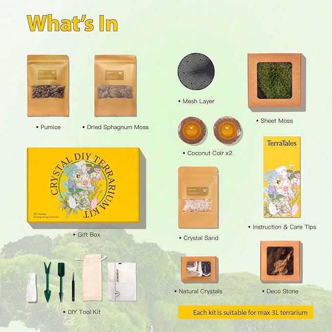 DIY Crystal Terrarium Kit - Image 4