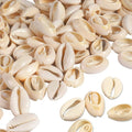 100Pcs Cowrie Shell Beads, Summer Beach Cowrie Shells by DINGPAI