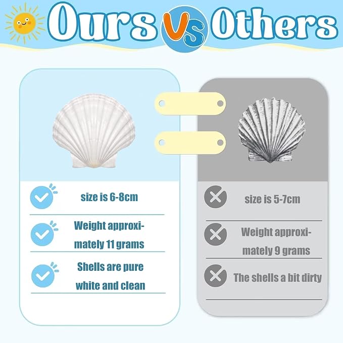 30PCS Natural Scallop Shells 2.3''-3'' White Sea Shells - Image 2