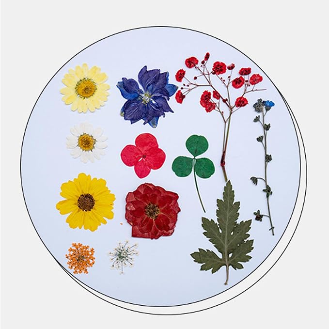 35Pcs Dried Pressed Flowers Leaves - Image 3