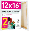 PHOENIX 12x16 Inch Pack of 2 Canvas by PHOENIX