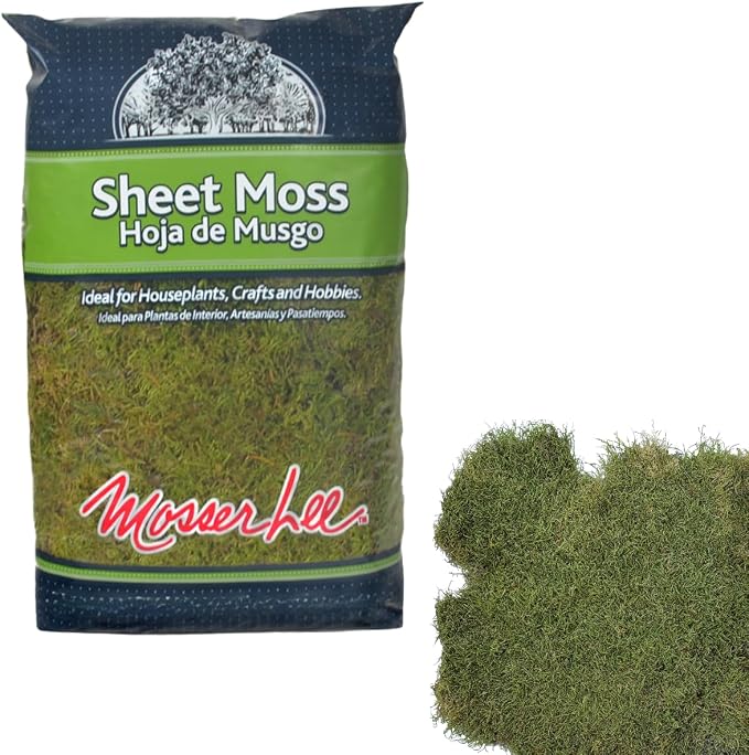 Mosser Lee ML0480 Natural Green Sheet Moss – 520 sq. in. – Organic Decorative by MosserLee