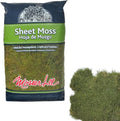 Mosser Lee ML0480 Natural Green Sheet Moss – 520 sq. in. – Organic Decorative by MosserLee